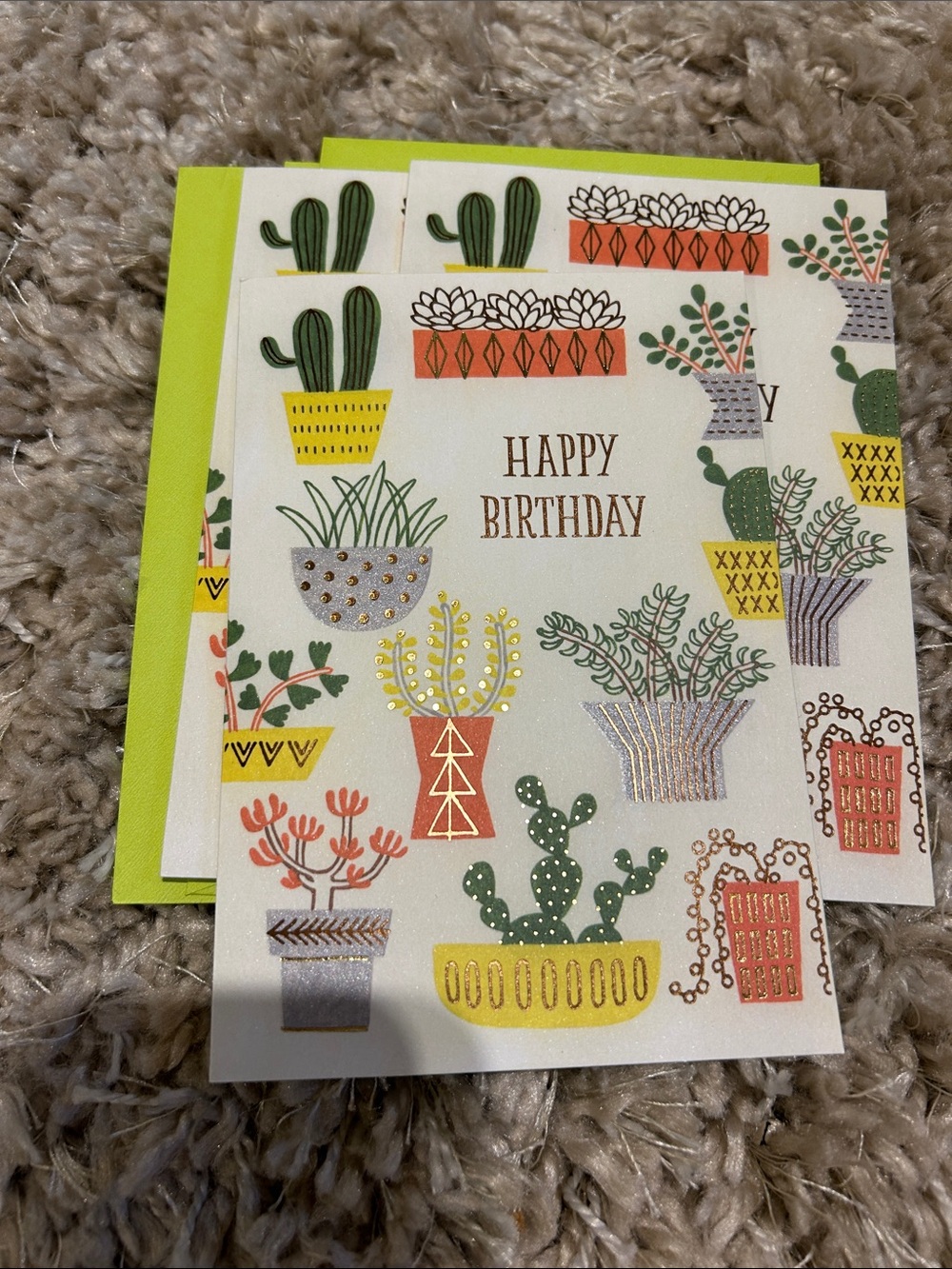 Hallmark Birthday Card with Green, Yellow and Orange Succulent Pots 3 pack